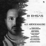 Ali Abdolmaleki Bi Ehsas